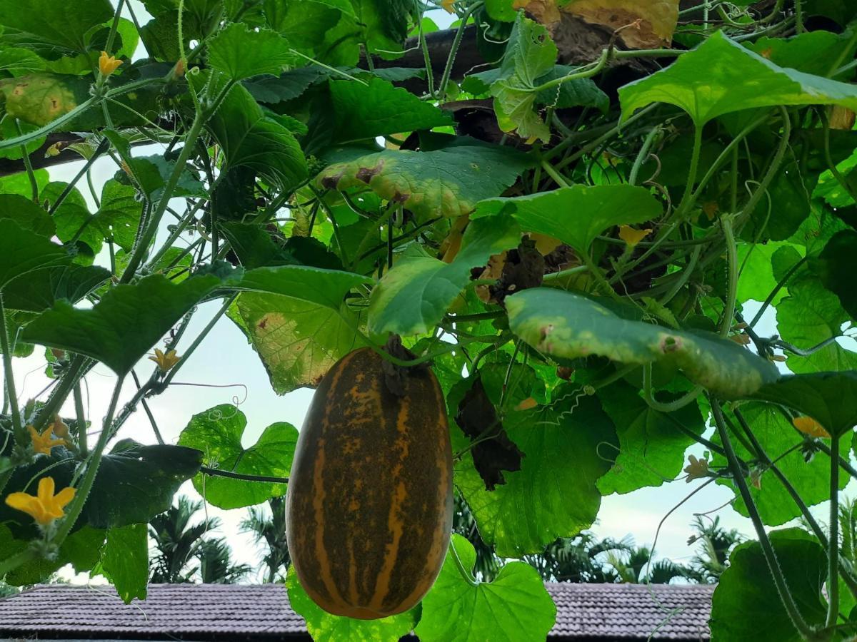 Jasmine Land Homestay Udupi Esterno foto